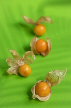 绿色表面上，透明茎托着成熟金色草莓和甜橙，从高角度看去