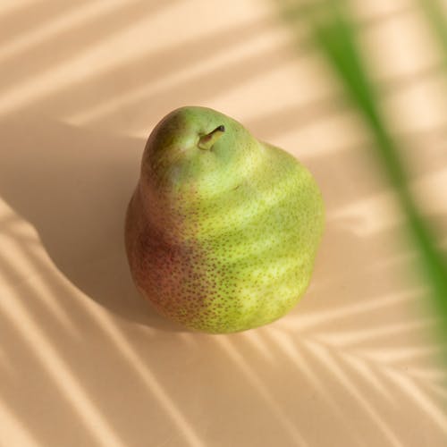 Fresh colorful pear with stem under blurred greenery