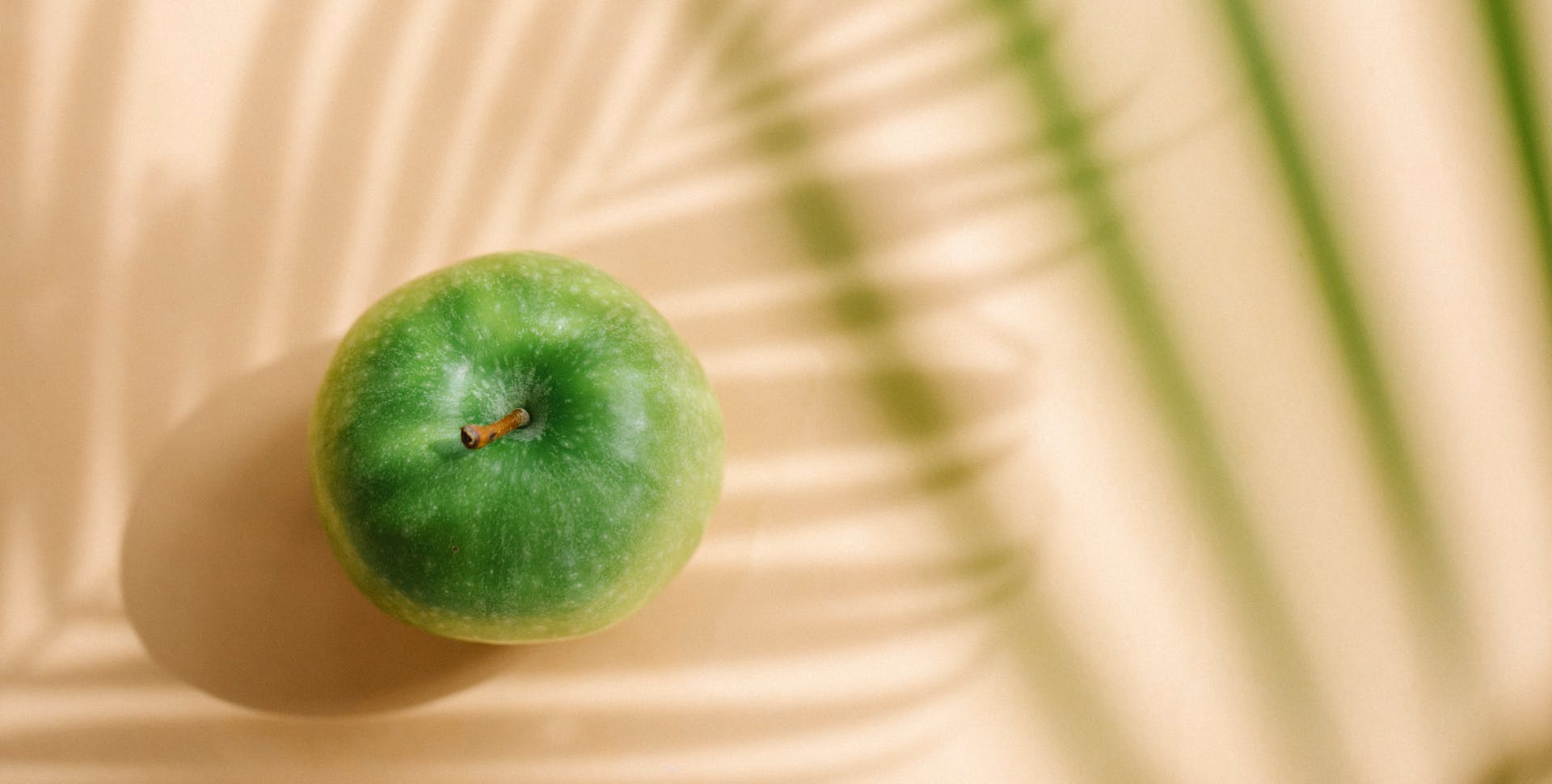 Top view composition of healthy verdant ripe green apple fruit with dried stem placed under green palm leaves in sunlight