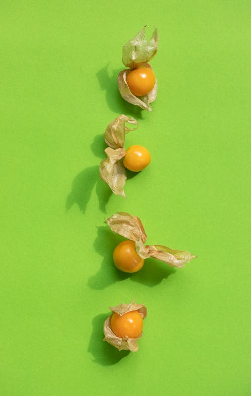 Fresh ripe whole cape gooseberries placed in row on green background