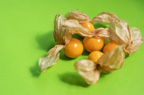 Δωρεάν στοκ φωτογραφιών με copy space, minimal, physalis peruviana