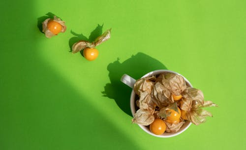 High angle composition of fresh ripe cape gooseberries placed in white ceramic cup and small ground cherries on green background