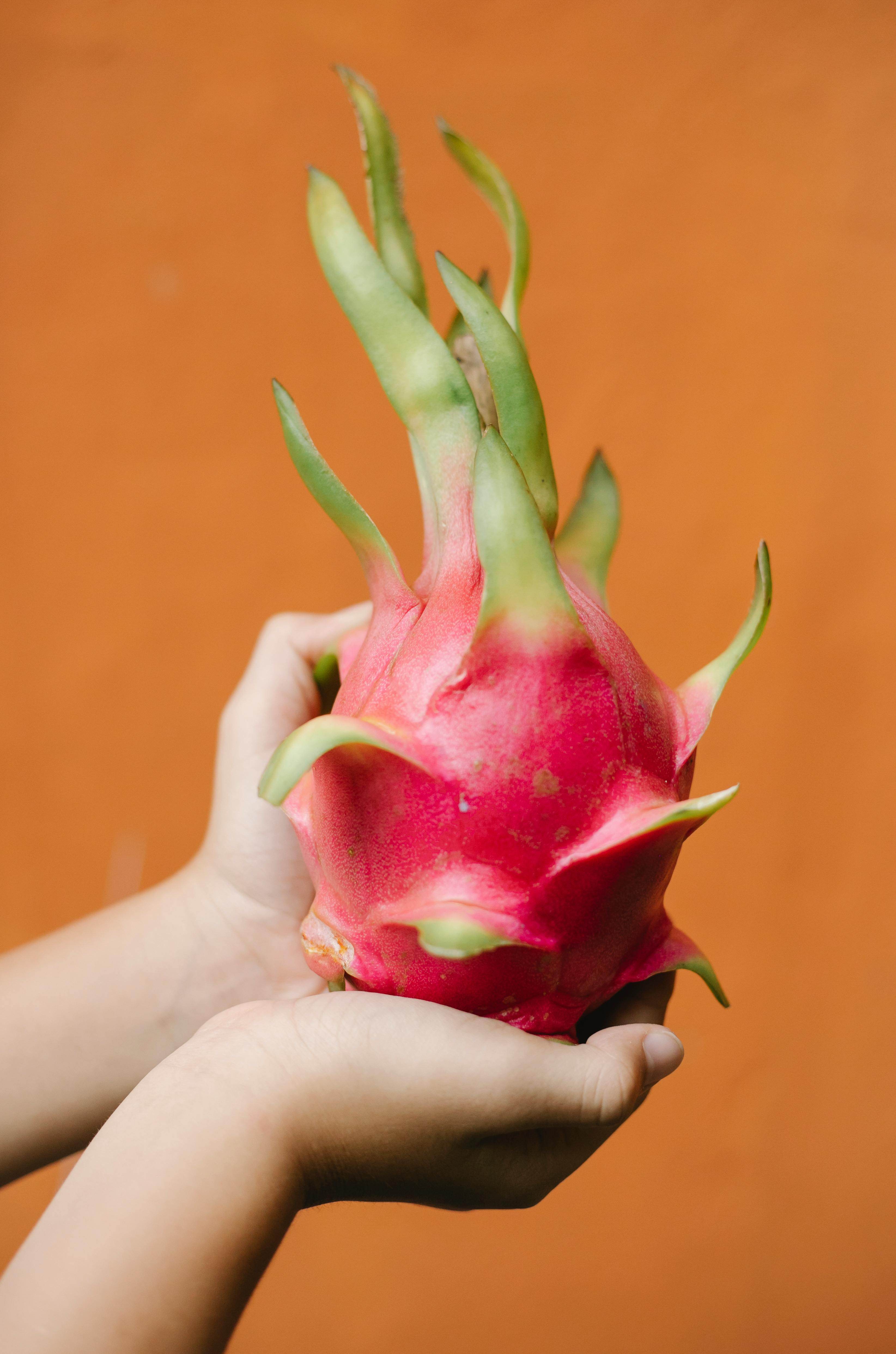 dragon fruit fruit