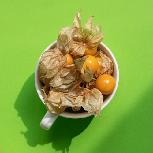 Top view composition of bright fresh orange cape gooseberries with dried leaves placed in white ceramic cup placed on green surface