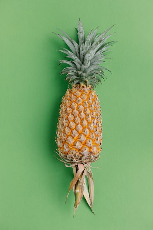 From above of ripe fresh whole pineapple with green leaves on green background