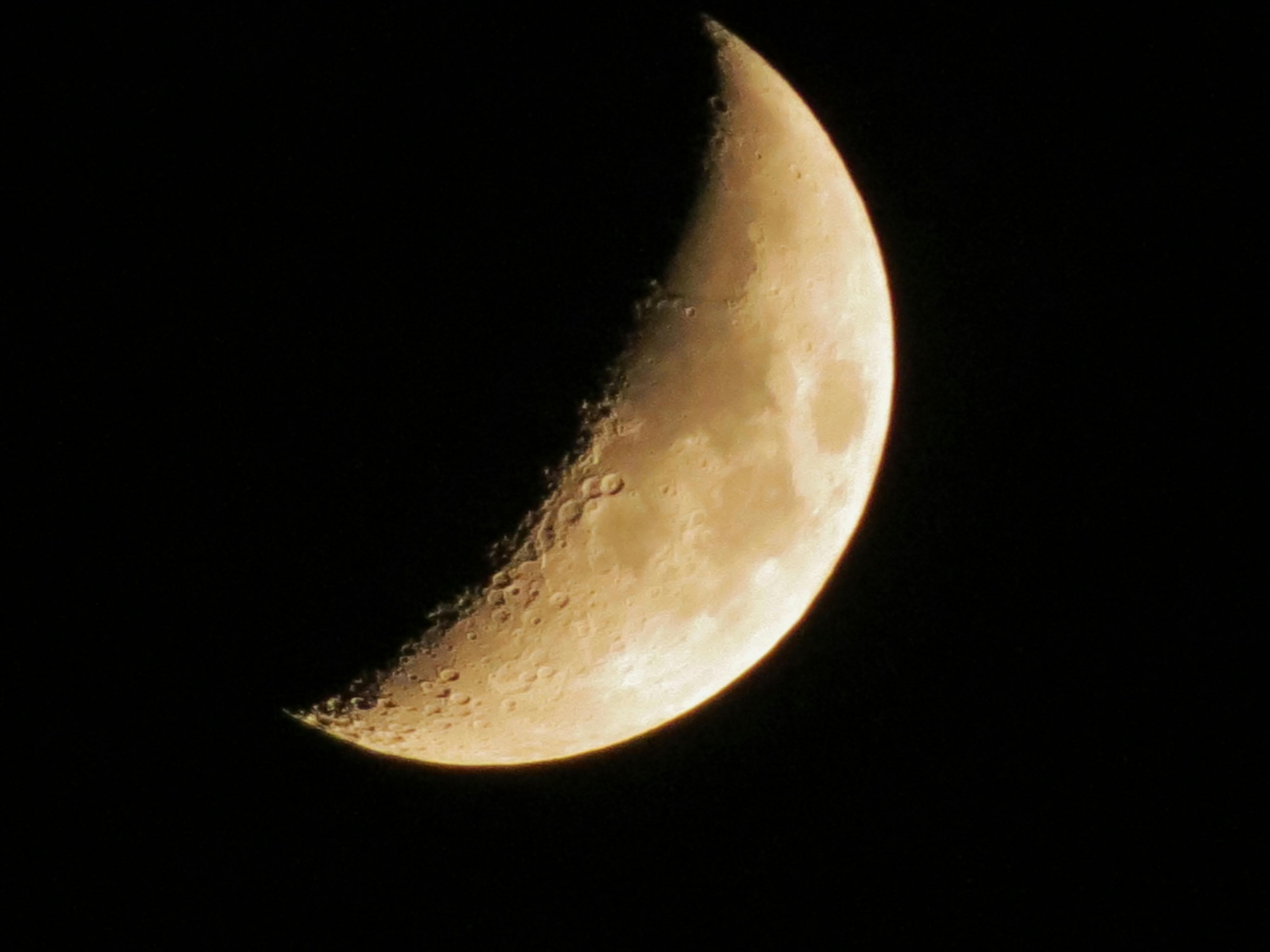 Free stock photo of half moon, moon, siva301in