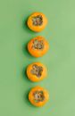 Persimmons in row on green background