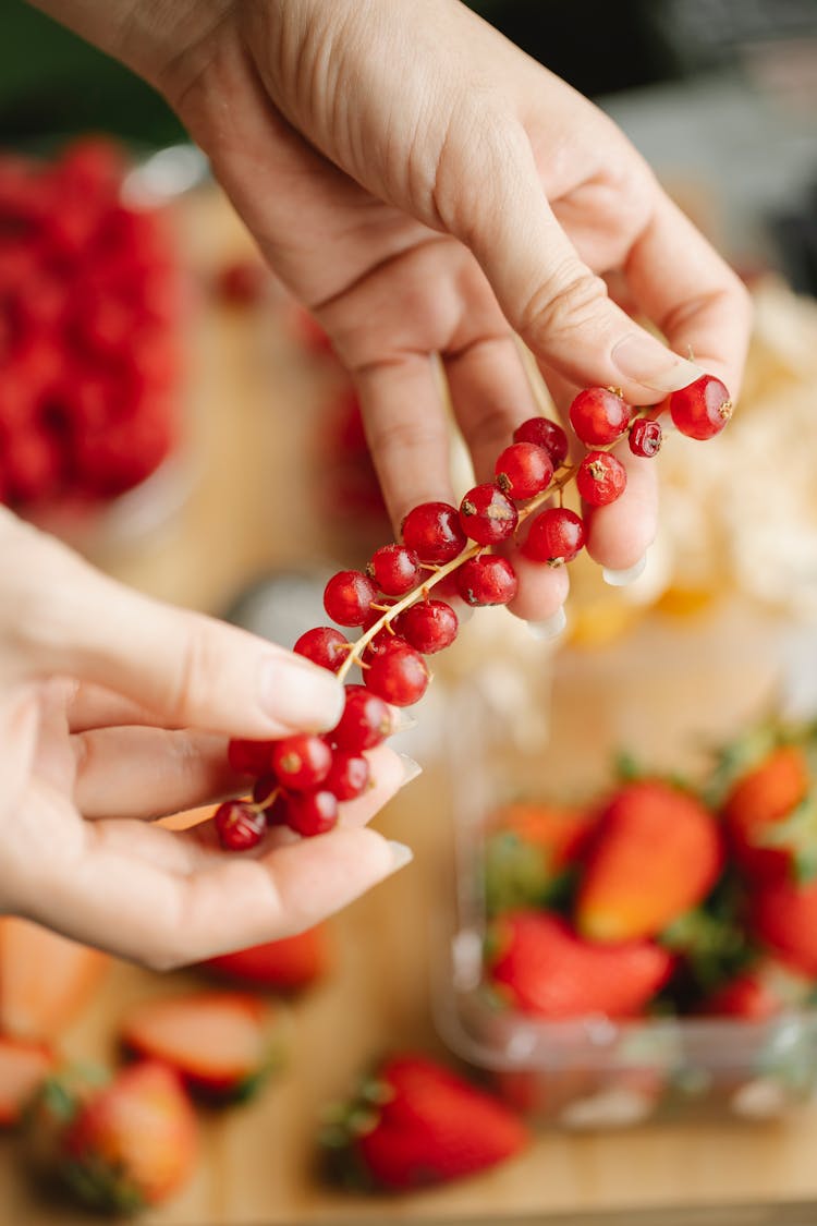 Close Up Photo Of Cranberries 