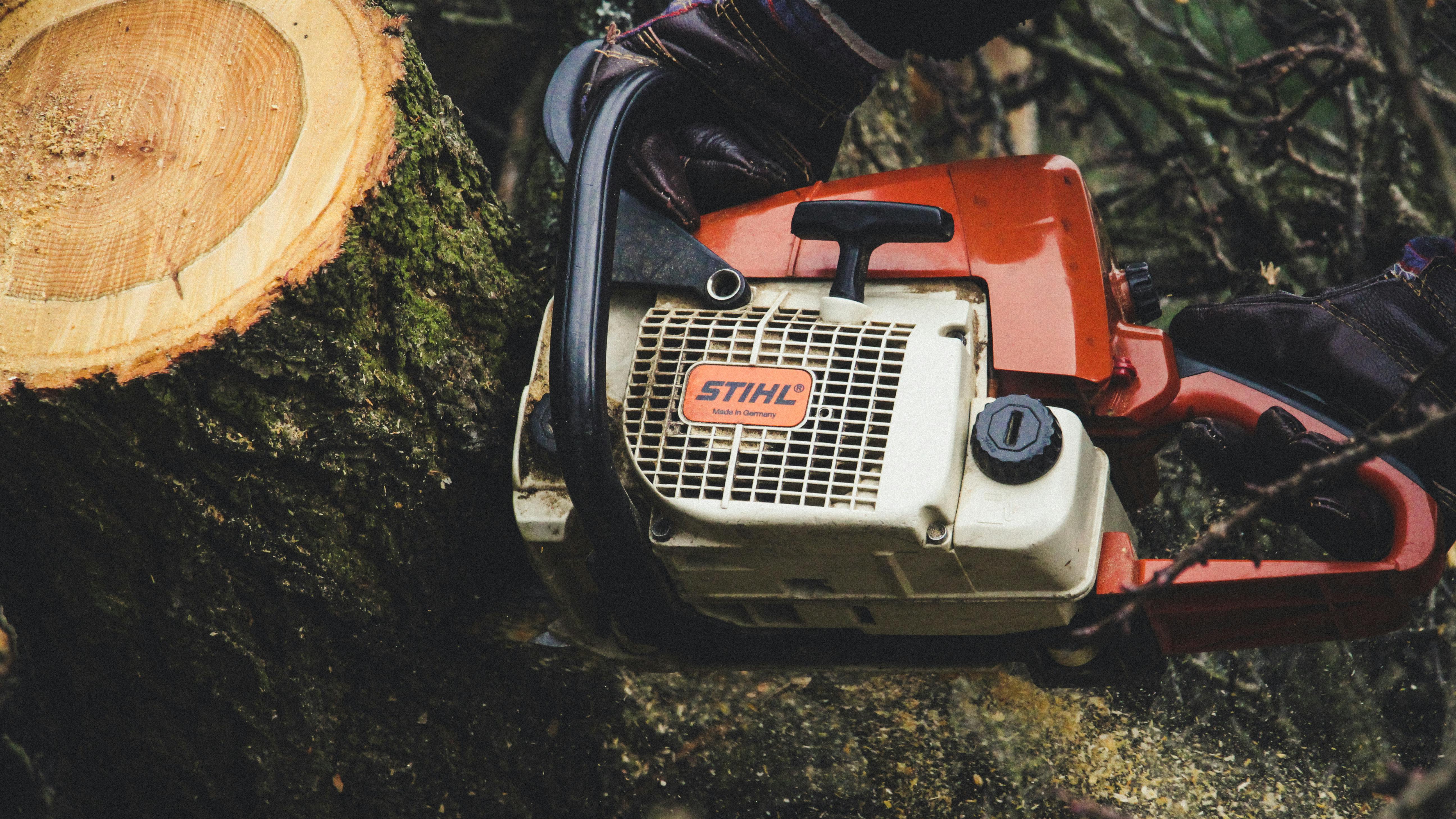 Red and White Stihl Recoil Engine · Free Stock Photo