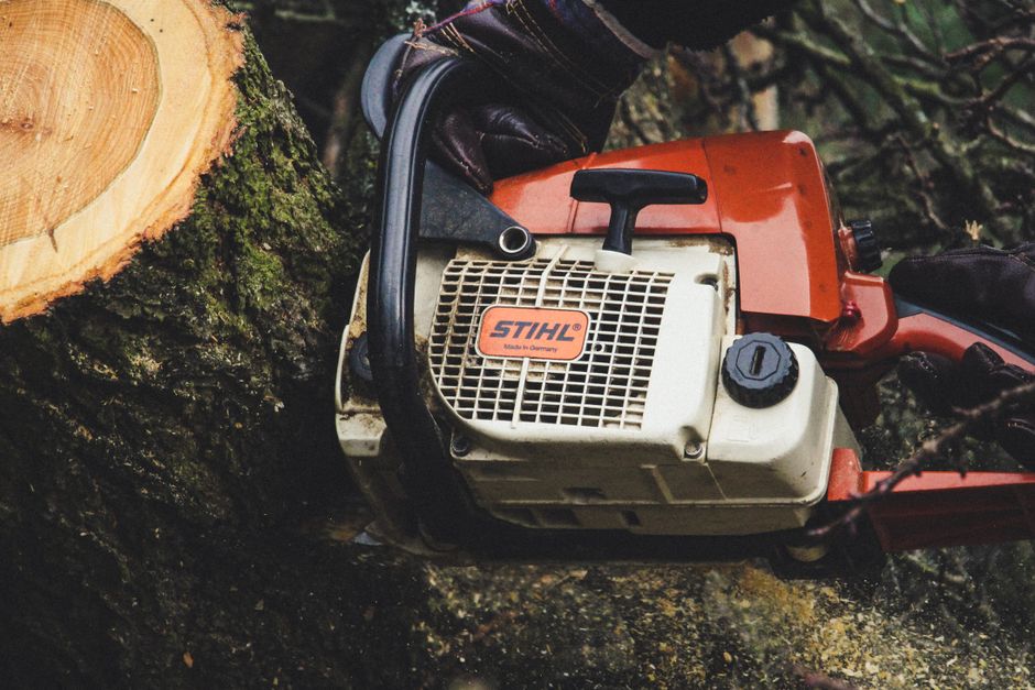 Chainsaw ready for pruning live oak trees in Surrey BC — arborist tree care equipment