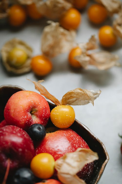 Základová fotografie zdarma na téma apple, borůvka, čerstvý