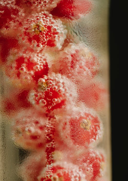 Free Ripe tasty red currant berries placed in glass transparent vase in clean water Stock Photo