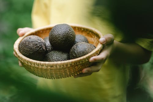 Crop faceless female holding wicker bowl full of avocado while standing in garden