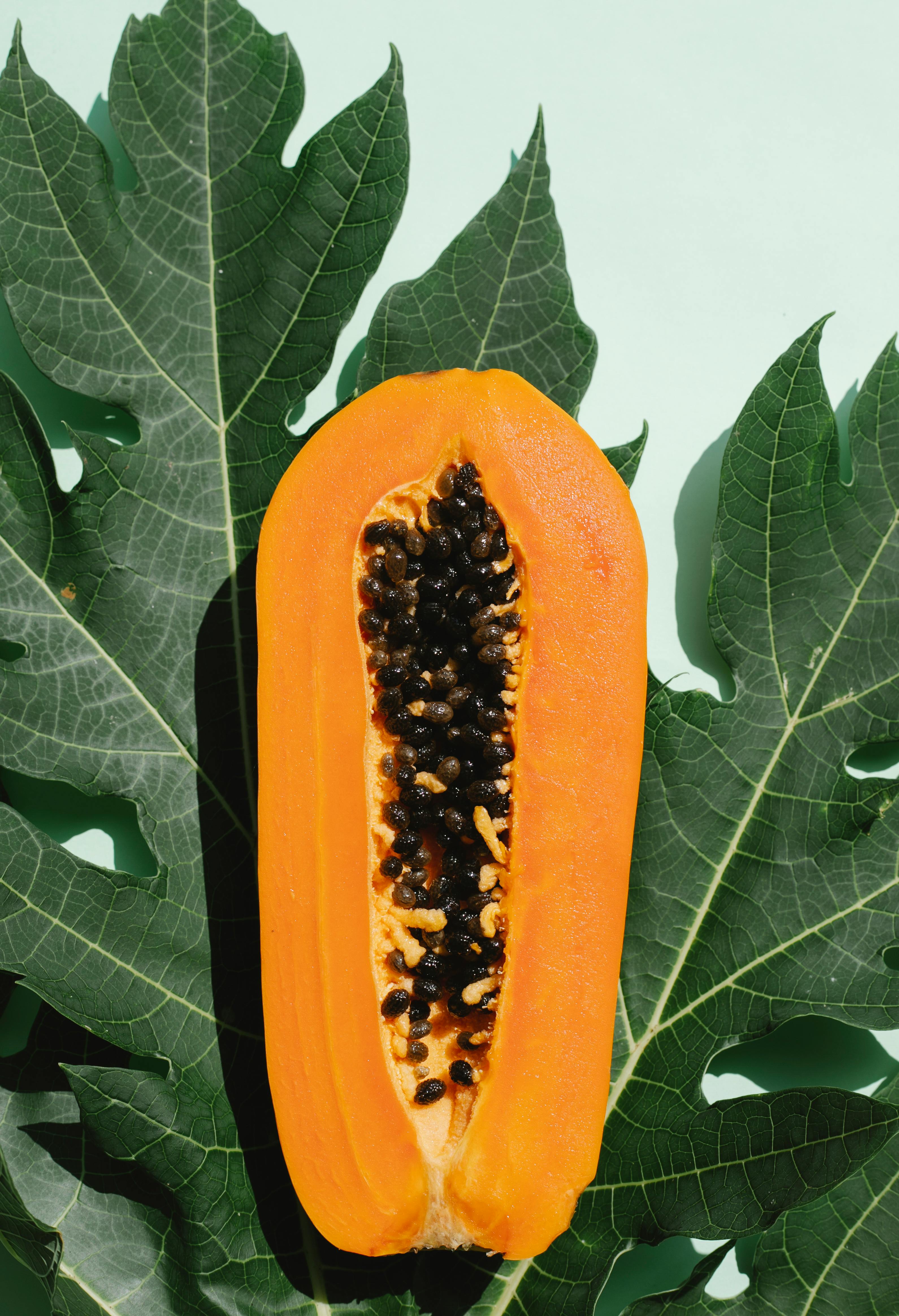 Papaya Photos, Download The BEST Free Papaya Stock Photos & HD Images