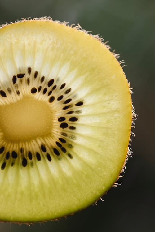 Closeup of fresh ripe cut piece of green fruit of kiwi on blurred background