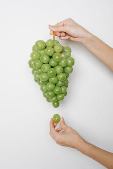 Crop anonymous female demonstrating cluster of fresh ripe tasty green grape on white background