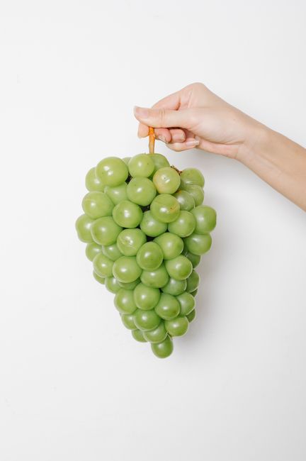 Crop unrecognizable female demonstrating cluster of ripe fresh green grapes on white background