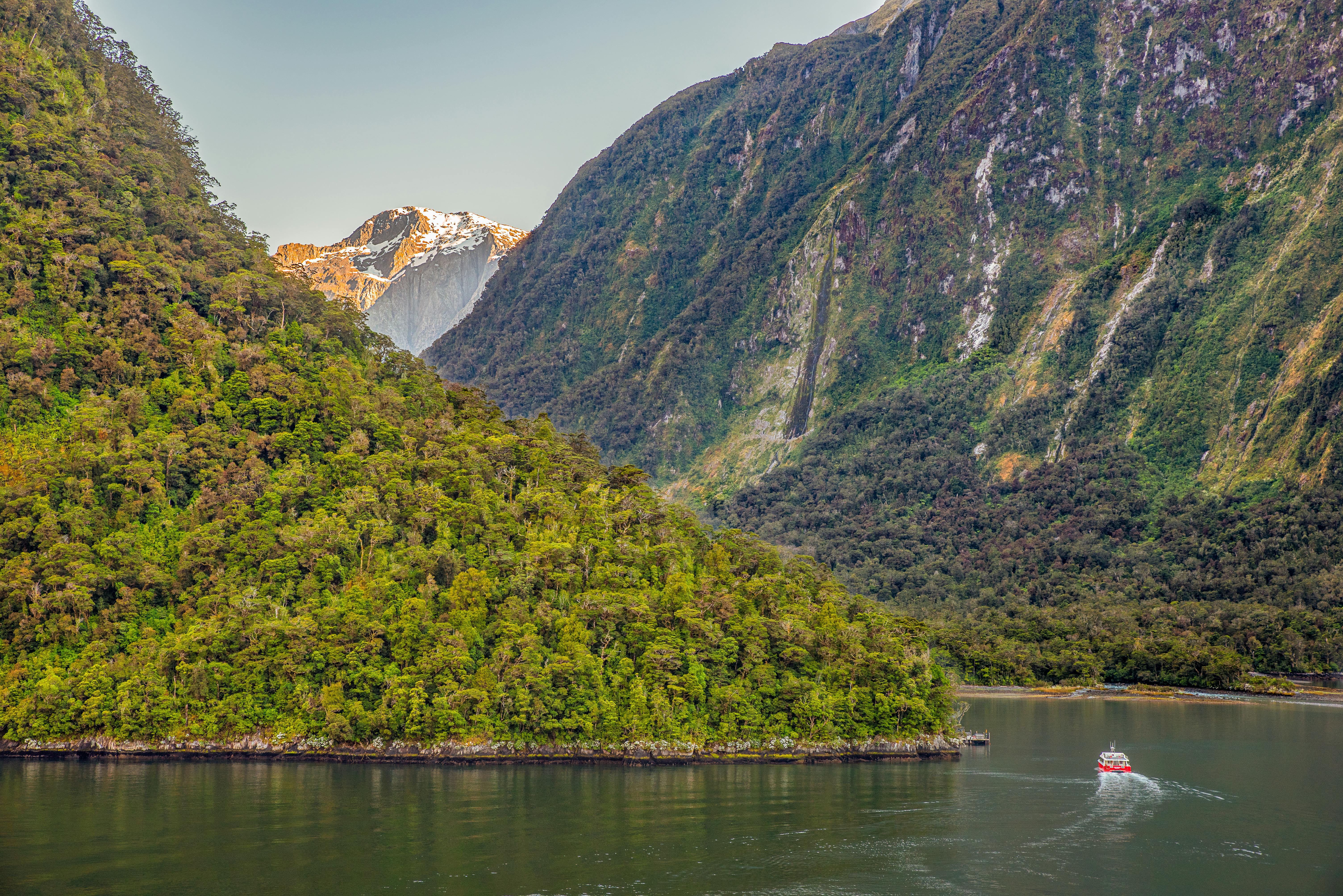 A travel guide to New Zealand: Cost, culture and more tips for visiting the country — Photo by Richard Pan on Pexels