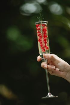 在户外拍摄的照片中，一只手拿着装满红色浆果和小枝的香槟长笛，背景模糊