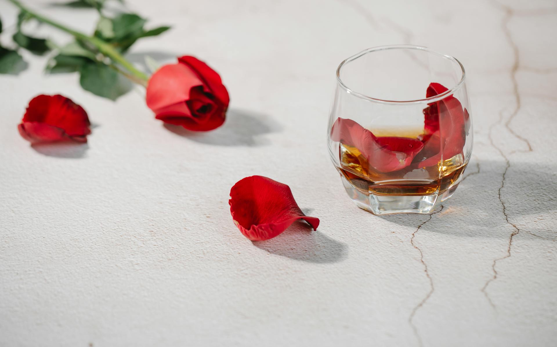 Red rose petals in glass of cognac