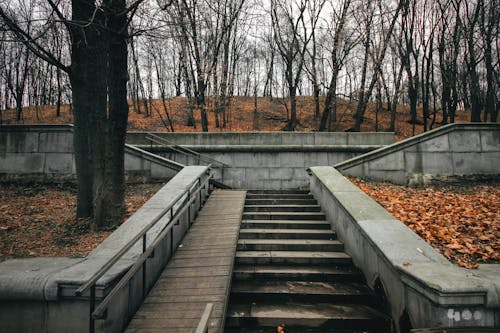 A Concrete Staircase near the Leafless Trees
