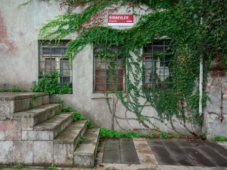 Deserted building facade with ivy-covered windows and concrete stairs.