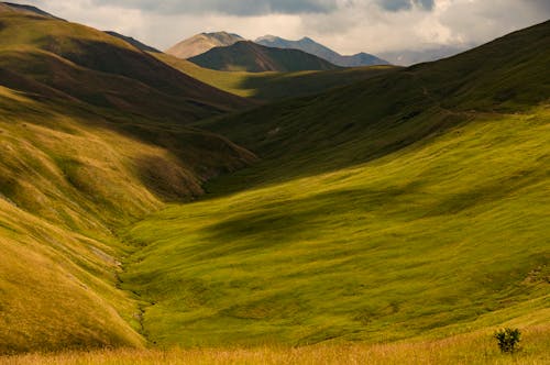 Бесплатное стоковое фото с горы, долина, живописный