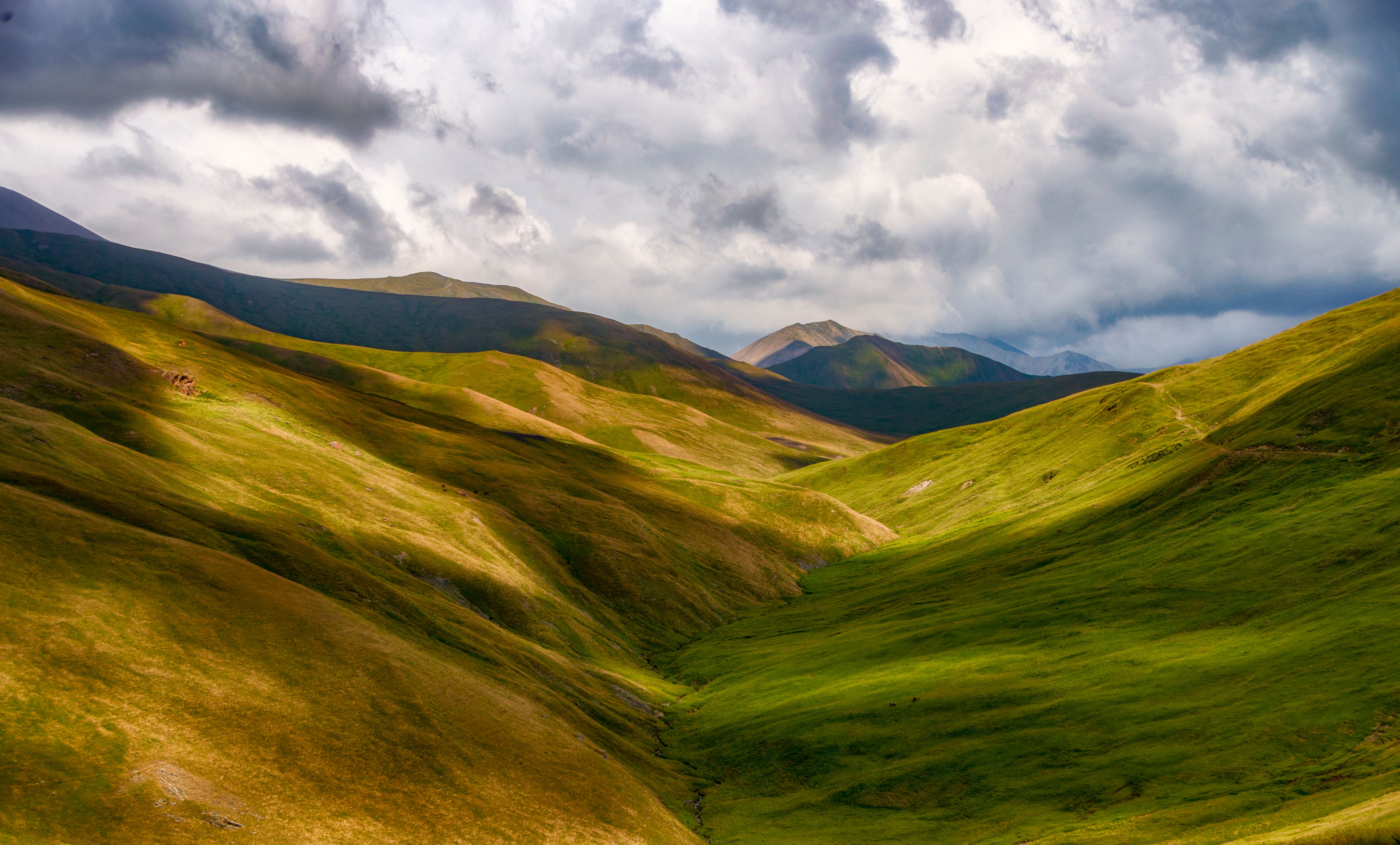 Hills Covered with Grass Under White Clouds · Free Stock Photo