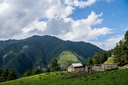 Gratis stockfoto met berg, boerenwoning, bomen