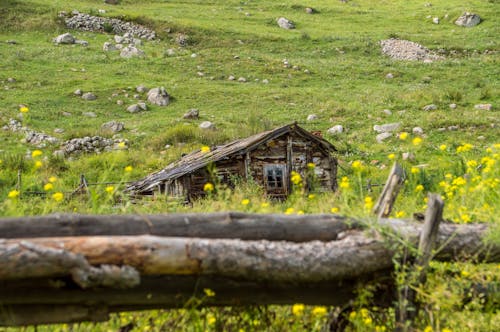 Gratis stockfoto met achtergelaten, gras, houten huis