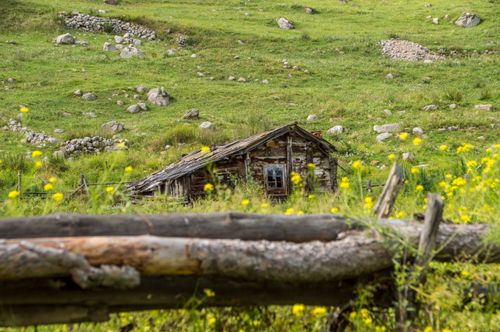 Free An old wooden shack stands abandoned amidst a picturesque green countryside with yellow wildflowers. Stock Photo