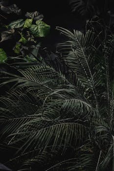 Captivating dark green leaves in a Helsinki botanical garden, showcasing tropical beauty.
