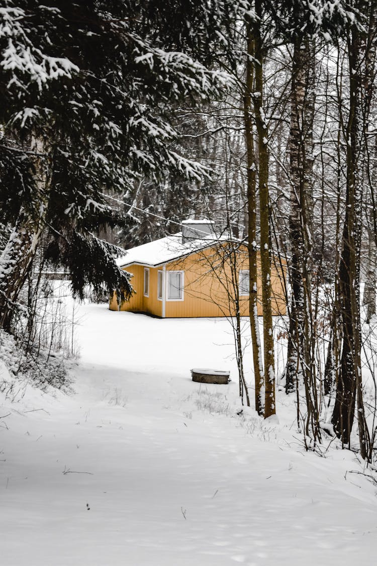 A House In The Forest With Snow 