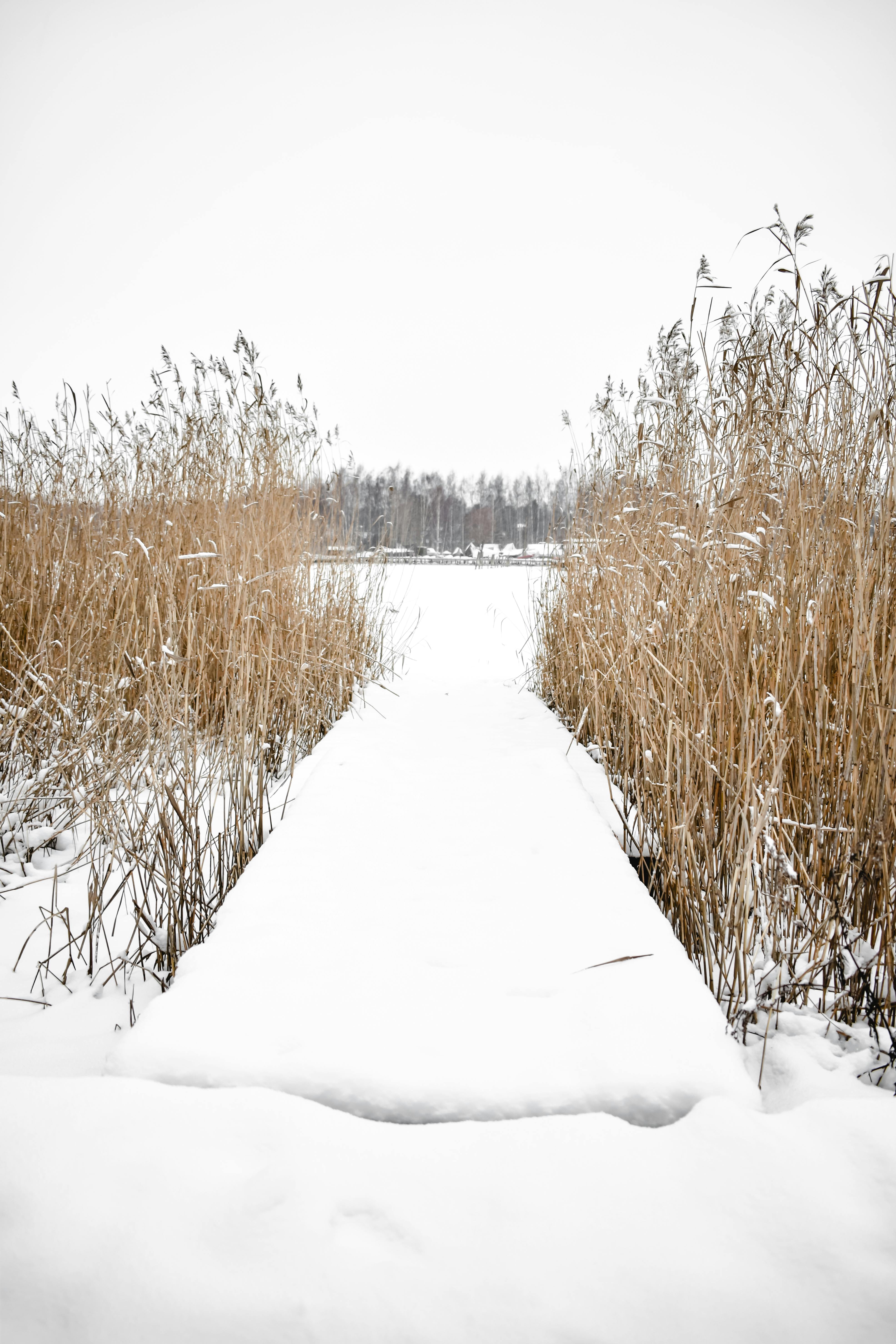 Dean Koontz - Icebound (V2.0)