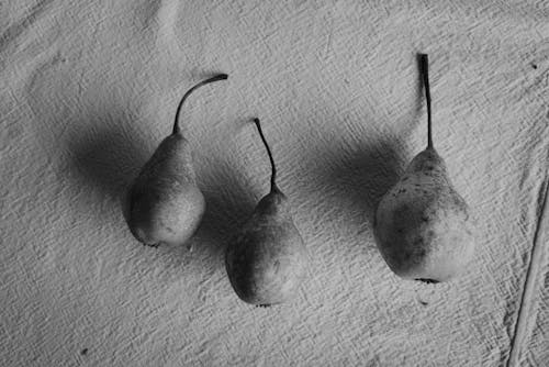 Grayscale Photo of Pear Fruits