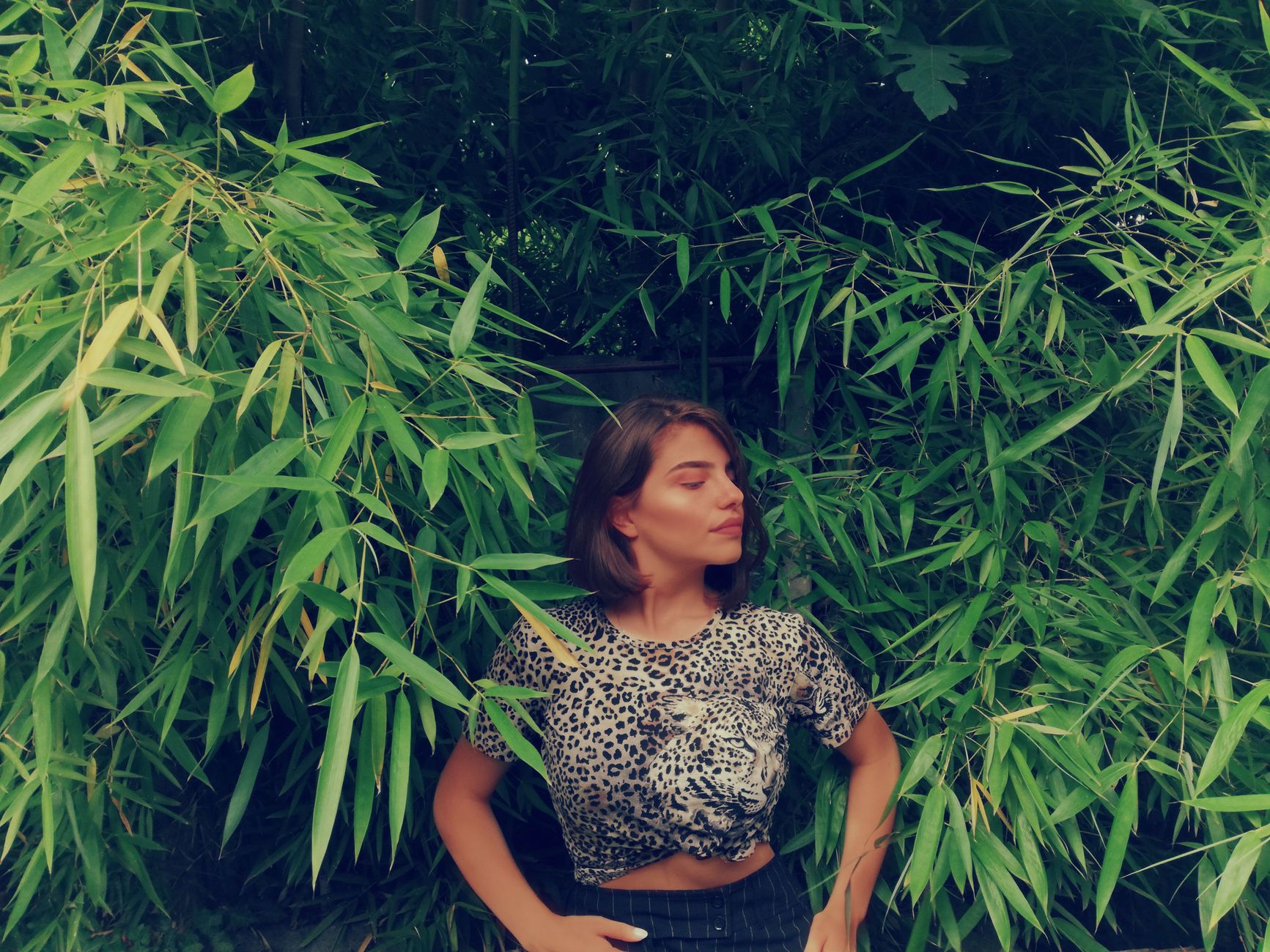 A woman poses confidently in a leopard print shirt surrounded by lush bamboo leaves.