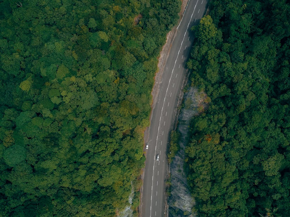 Breathtaking aerial view of cars driving on asphalt road running through lush woods with green trees in sunlight