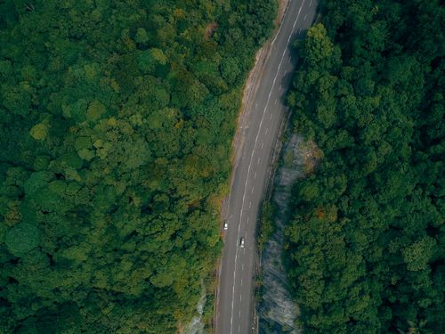 Free Breathtaking aerial view of cars driving on asphalt road running through lush woods with green trees in sunlight Stock Photo