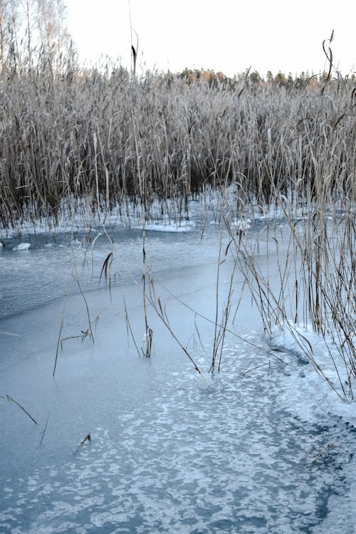 Photo of a Frozen River