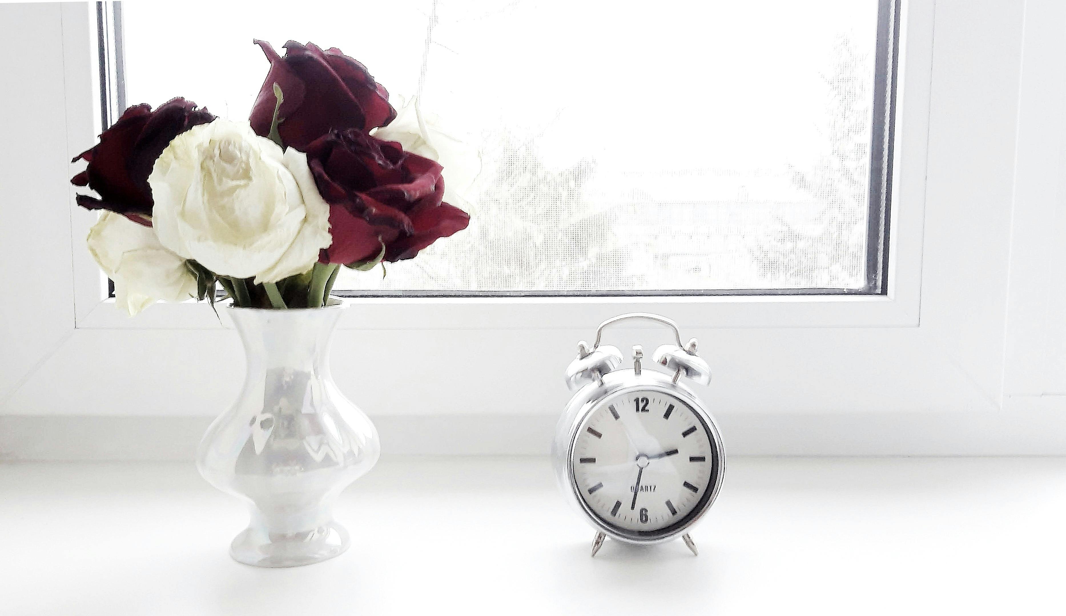 Pato Laqueado de Pekín servido