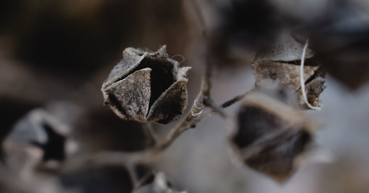 噴嚏、鼻水止不住?花粉症3大方法輕鬆控制,改善你的生活品質!