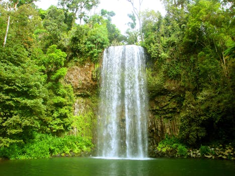A beautiful cascading waterfall in a lush Australian forest setting.