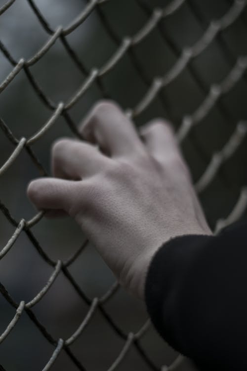 Person Holding Gray Metal Fence
