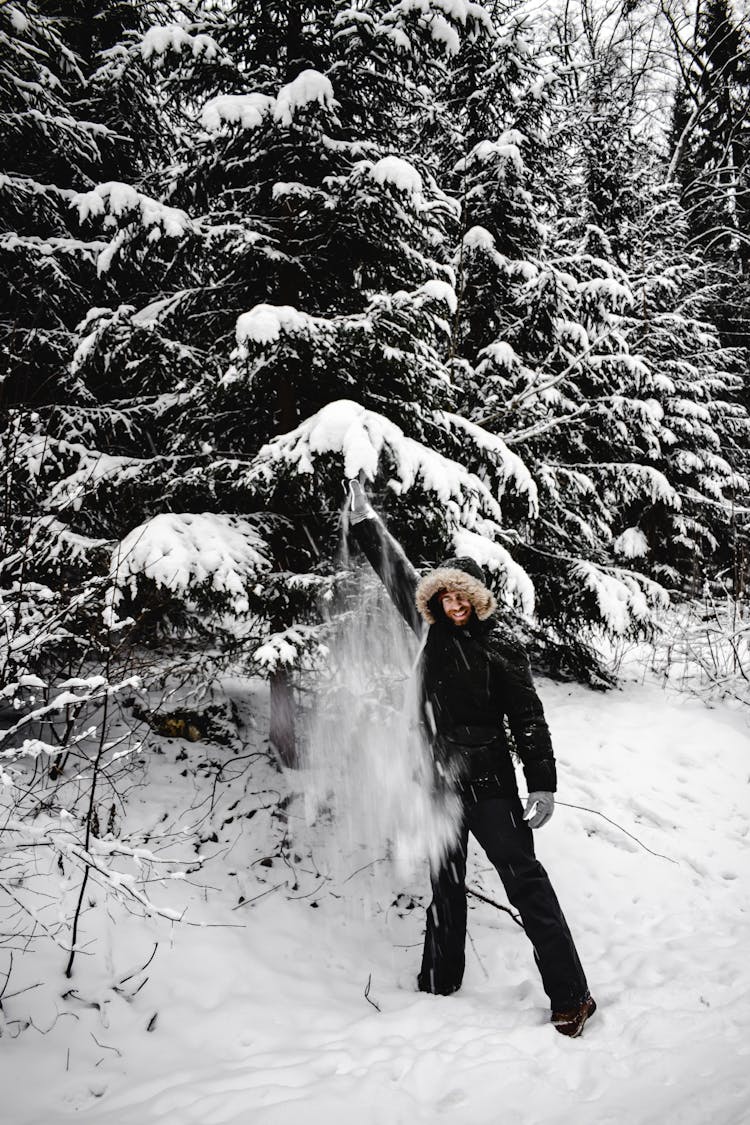 A Man Shaking The Tree Branch Of A Snow Covered Tree