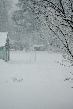A serene winter scene in Estonia featuring heavy snowfall and snow-covered branches.