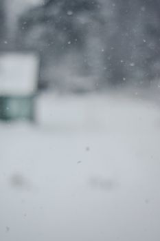 Soft focus image of winter snowfall in Estonia, capturing a serene and quiet atmosphere.