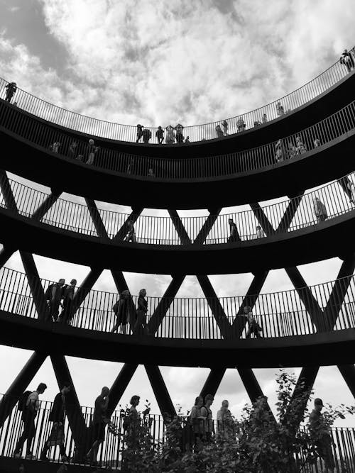 Grayscale Photo of People at the Forest Tower at Camp Adventure