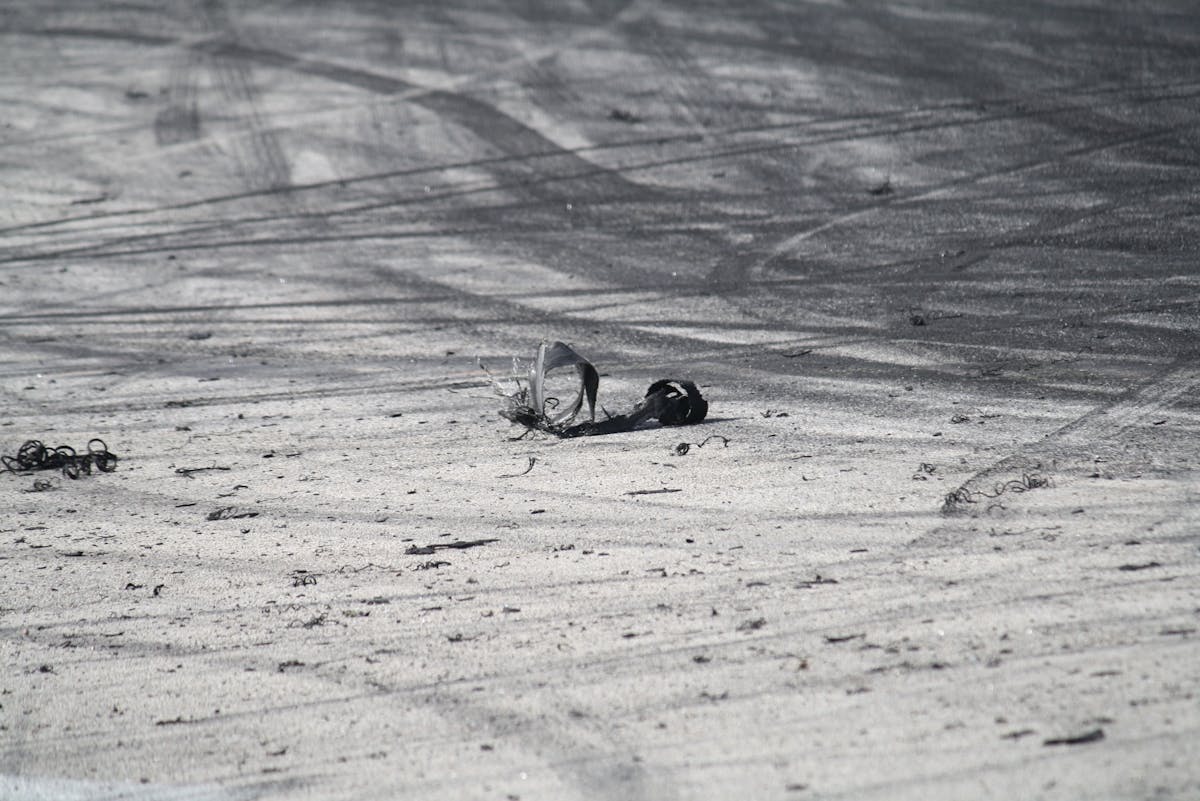 Onions and garlic sautéing in a pan
