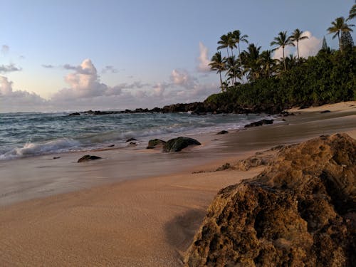 Free stock photo of beach, sun set