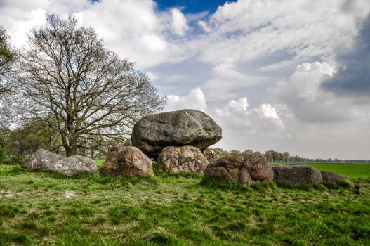 Brown Rocks Near Bare Tree